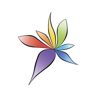 Колористика