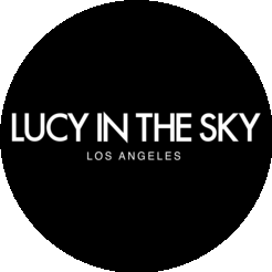 Lucy in the Sky Inc