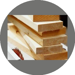 Казак Мария Вацлавовна