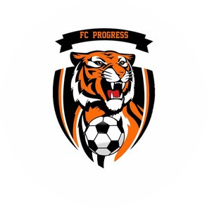 Детский спортивный клуб ПРОГРЕСС (ИП Сухинин Сергей Сергеевич)