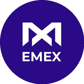 ЕМЕХ (лицензиат FedEx, ТМ)