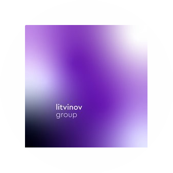 Litvinov Group