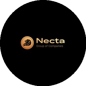 Международная сеть агентств недвижимости Necta