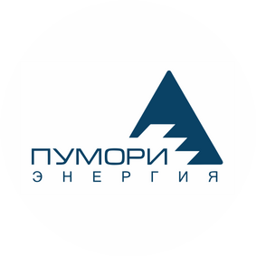 Пумори-энергия