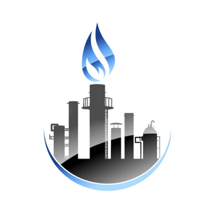 Professional Project Company