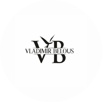 vbfly.shop