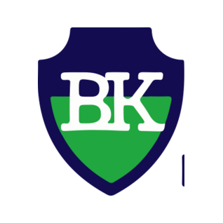 Братья Котловы