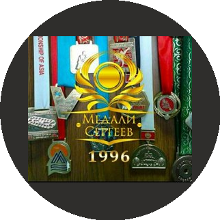 Медали ( Ип Соседова Елена)