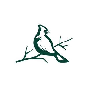 МОУ ИТ - лицей Привилегия