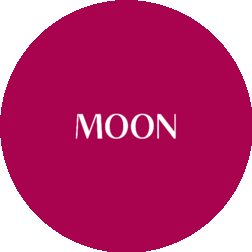 MOON (Группа Компаний)