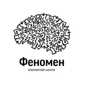 Шахматная школа Феномен