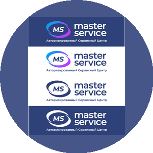 MasterService
