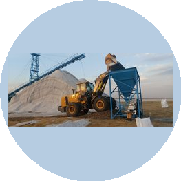 Мультисервис