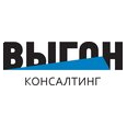 VYGON Consulting