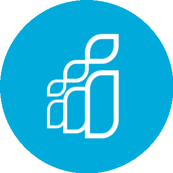 Software Country (ТОО Балхаш Системс)