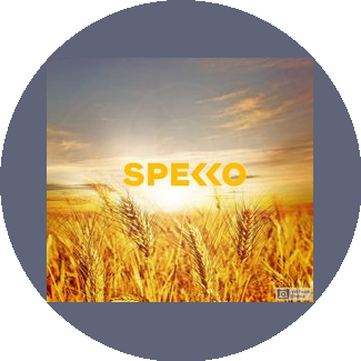 Спекко