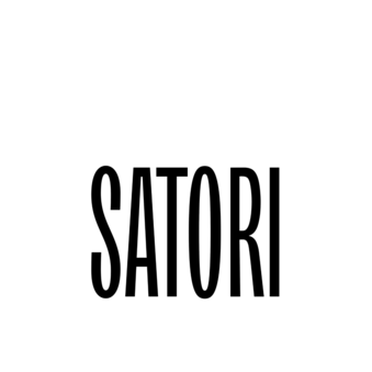 Satori IB Group