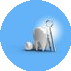 SMILE CITY