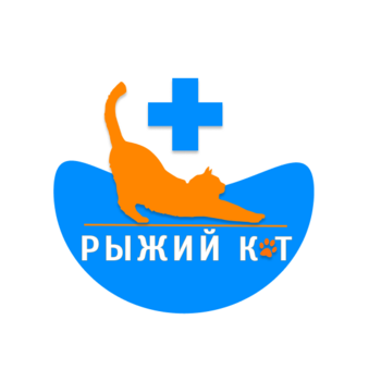 Сеть ветеринарных клиник Рыжий Кот (ИП Баутина Анна Александровна)