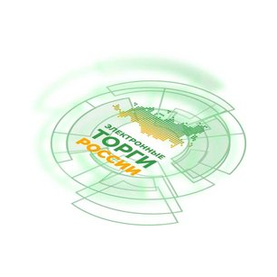 Электронные торги России