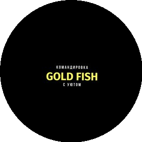 Gold fish