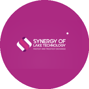 Synergy of Lake Technology