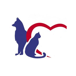 Брындина Полина Сергеевна