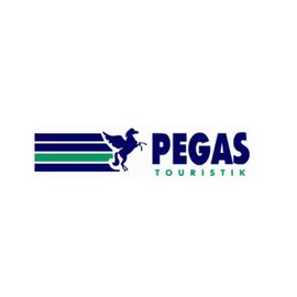 Кам анд флай