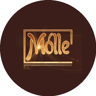 Павличенко Диана Ренатовна