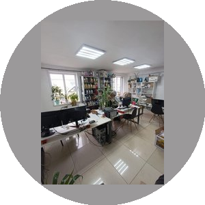 Ибатуллин Алмаз Махмутович