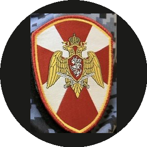 ОВО по Нижегородскому району г. Нижний Новгород