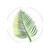 ������� Tropic Coffee