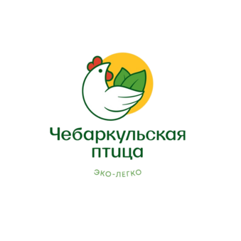 Чебаркульская птица