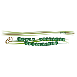 МБУДО Центр детского творчества г. Челябинска