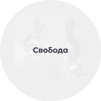 Студия графического дизайна Свобода