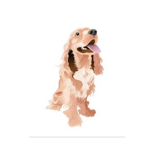 Ветеринарная клиника ДРУГ