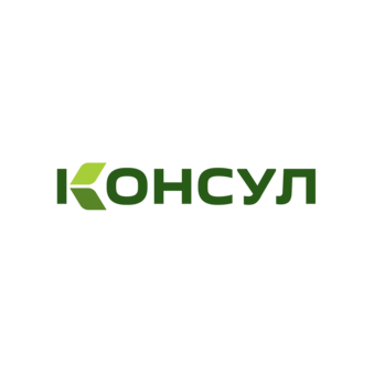 Консул
