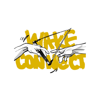 Вейк Коннект