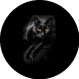 Bastet Nails