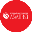 Азалия Воронеж