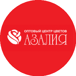 Азалия Воронеж