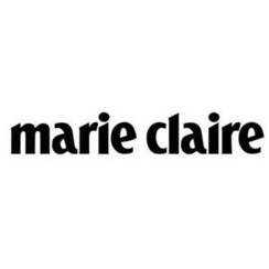 Интернет технологии Шкулева