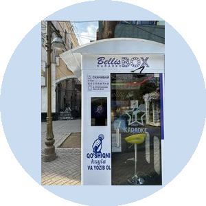 ПУШКИН И ПК