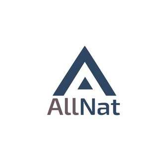 Аутсорсинговая фирма Allnat