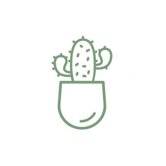 Beauty studio Cactus