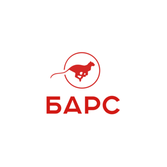 Центр Информационных Технологий БАРС