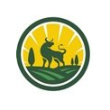 АГРООЛИМП