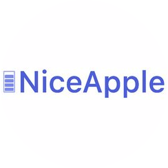 NiceAppleSpb