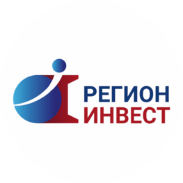 Регион-Инвест, Инвестиционное агентство