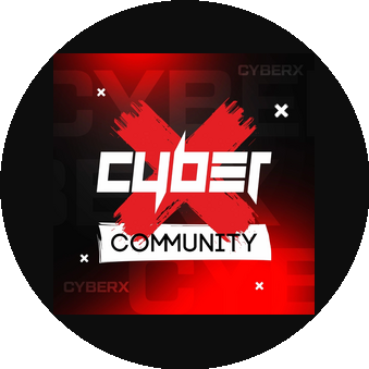 Cyber X (ИП Постников Павел Сергеевич)